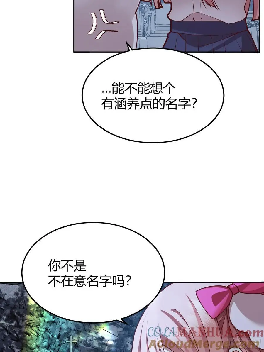 091猫36