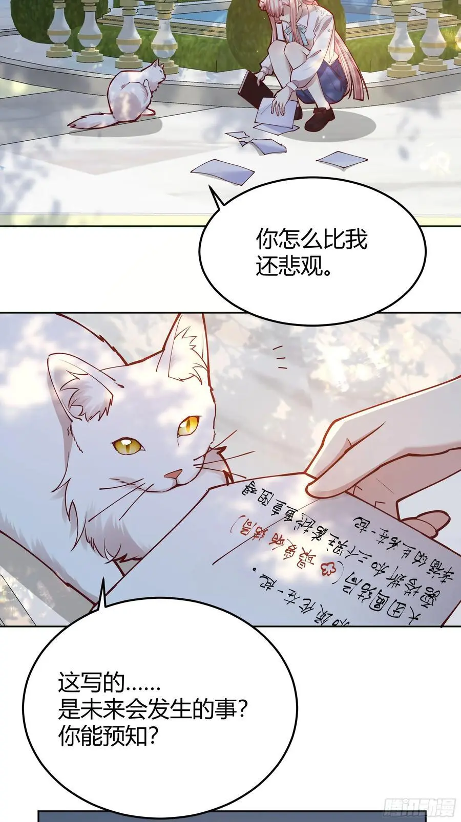 091猫44
