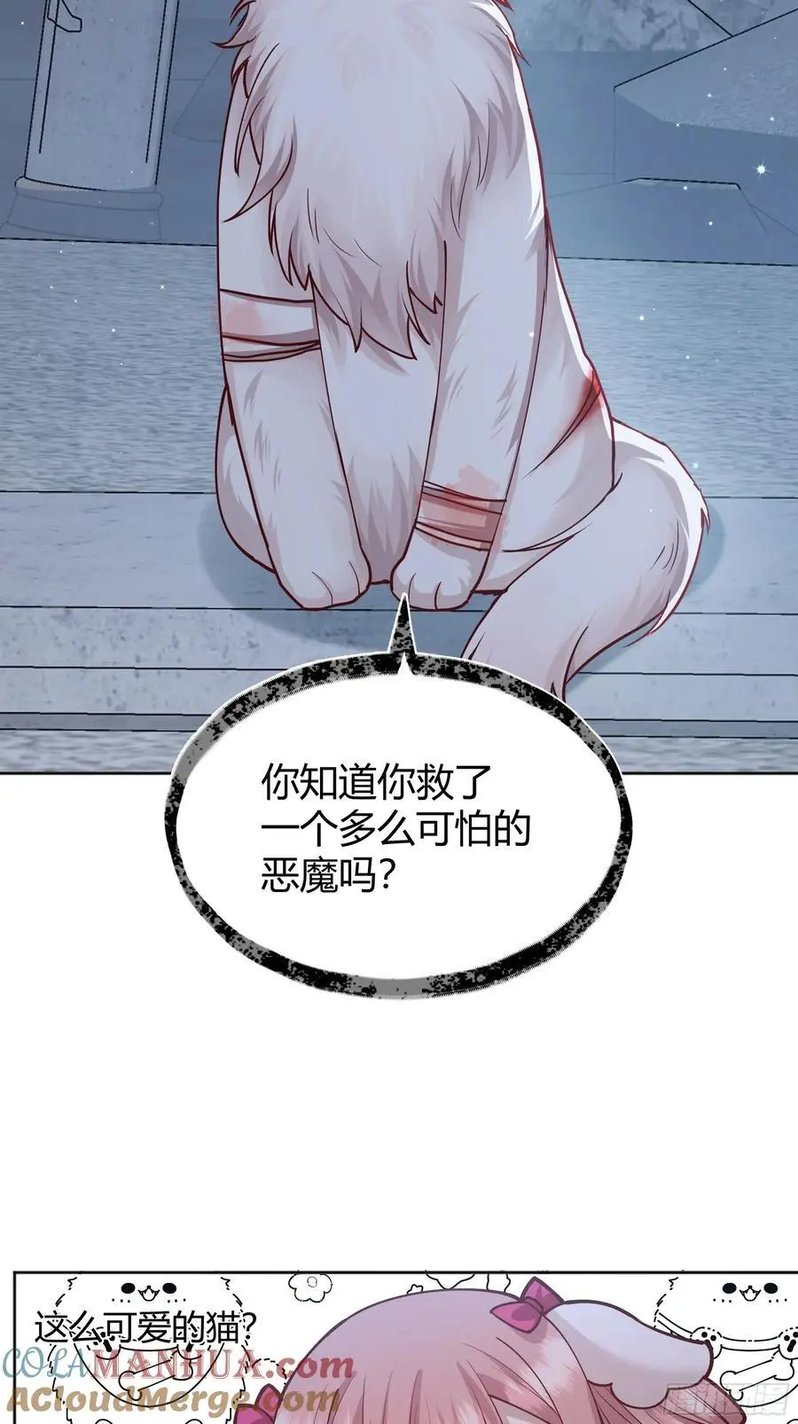 091猫27