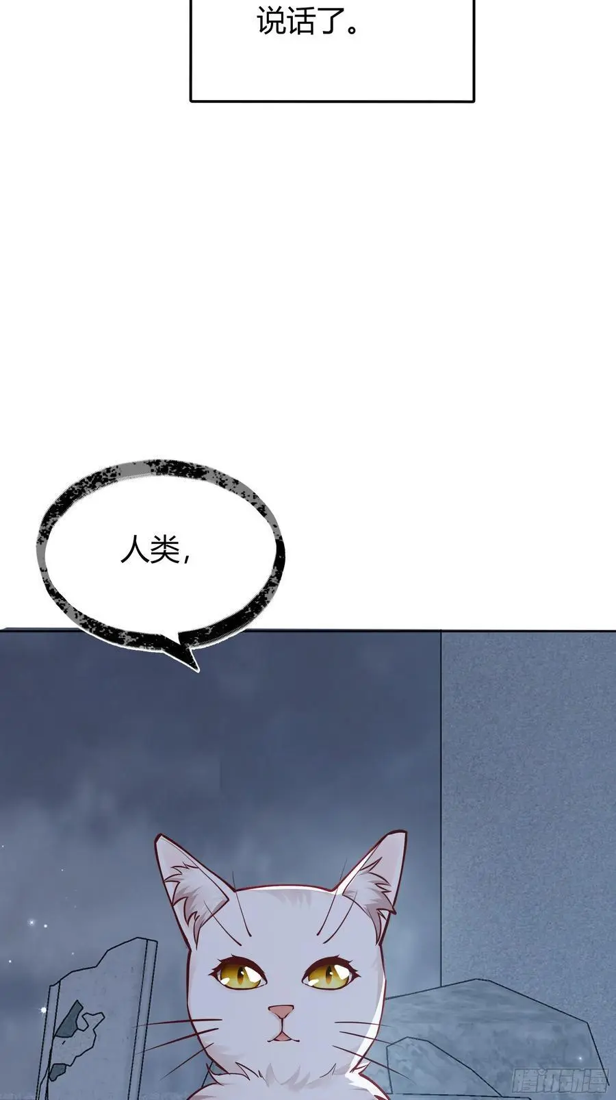 091猫26