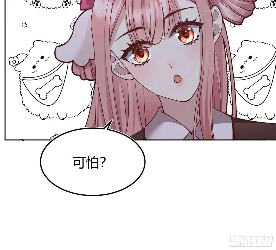 091猫28