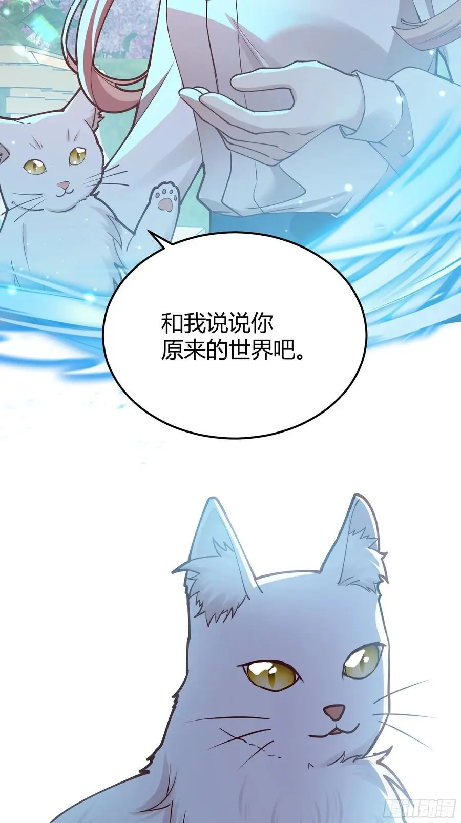091猫47