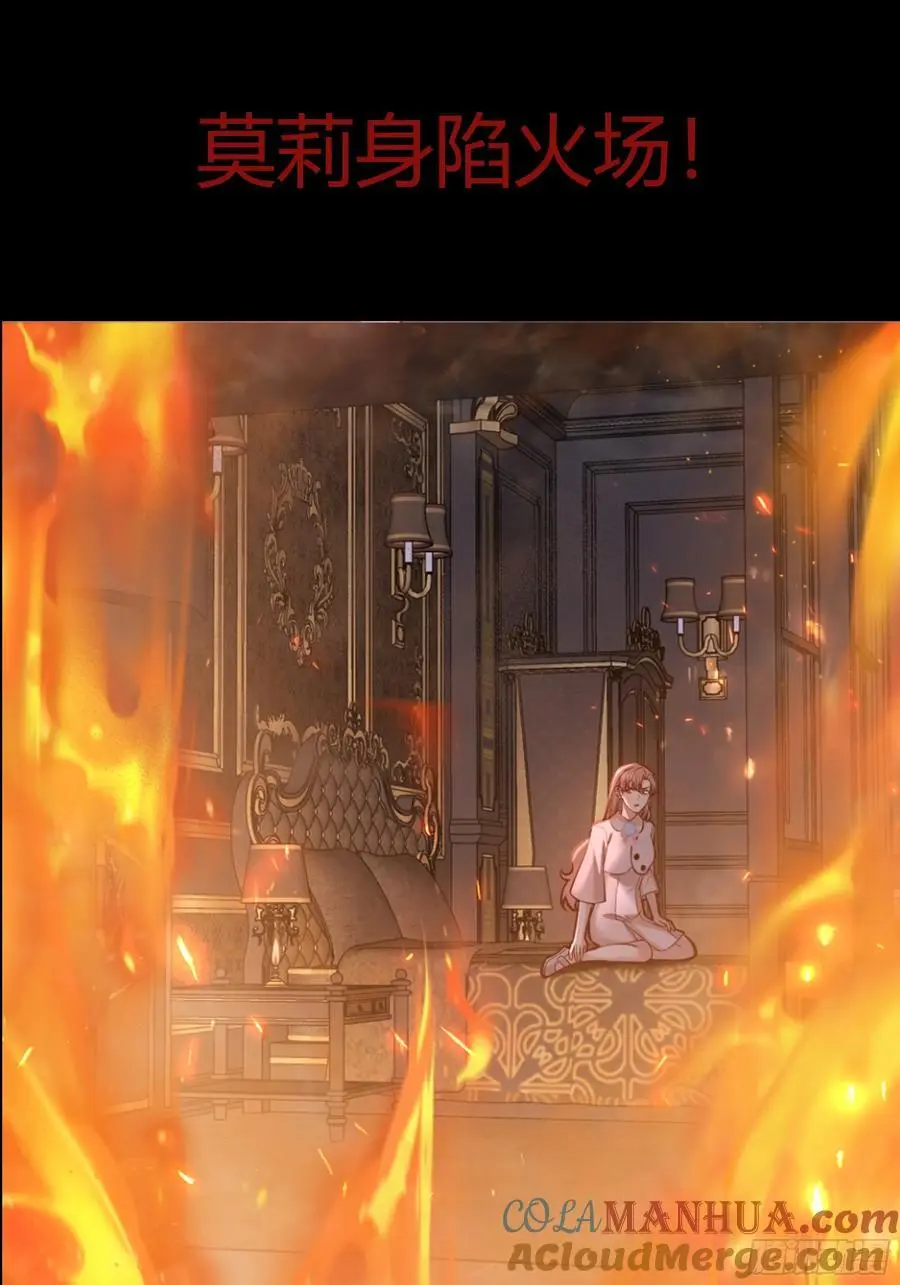 公告5