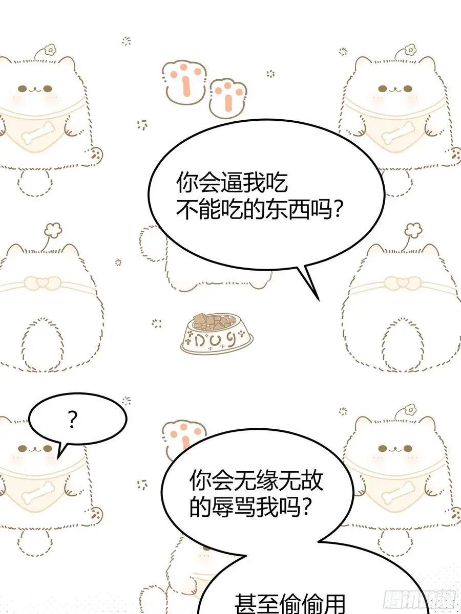 091猫29