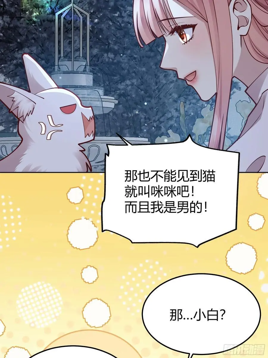 091猫37
