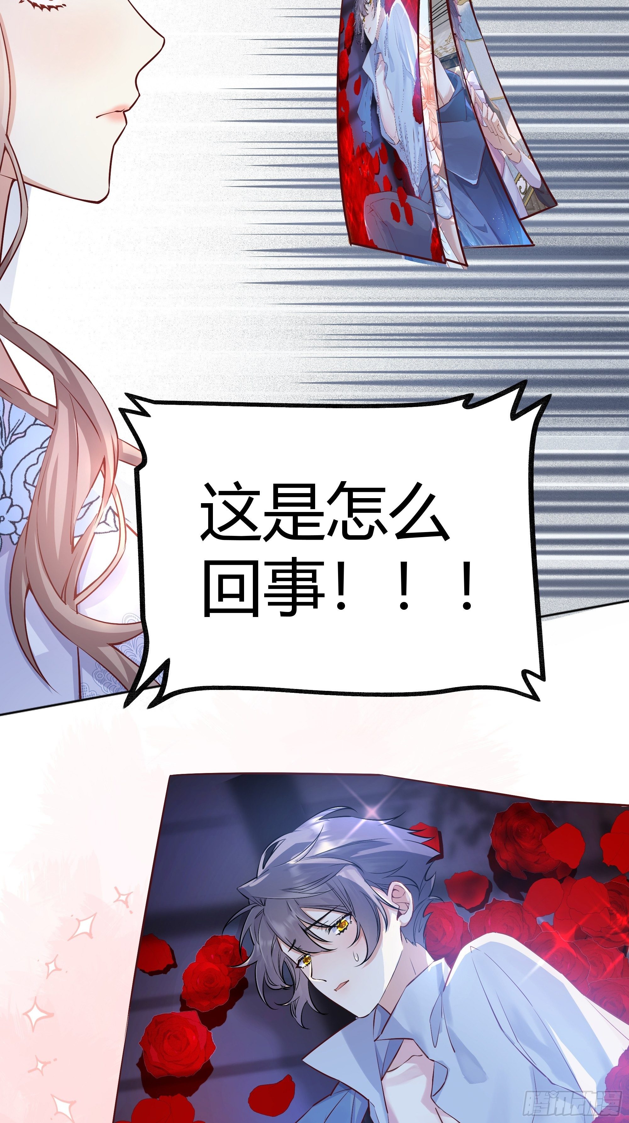 013福利大放送26