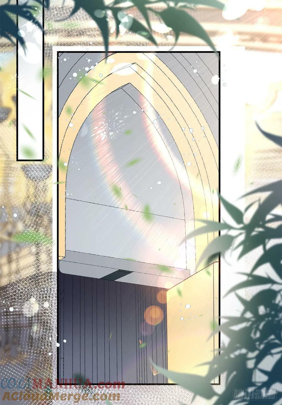 第147话 被混淆的认知6