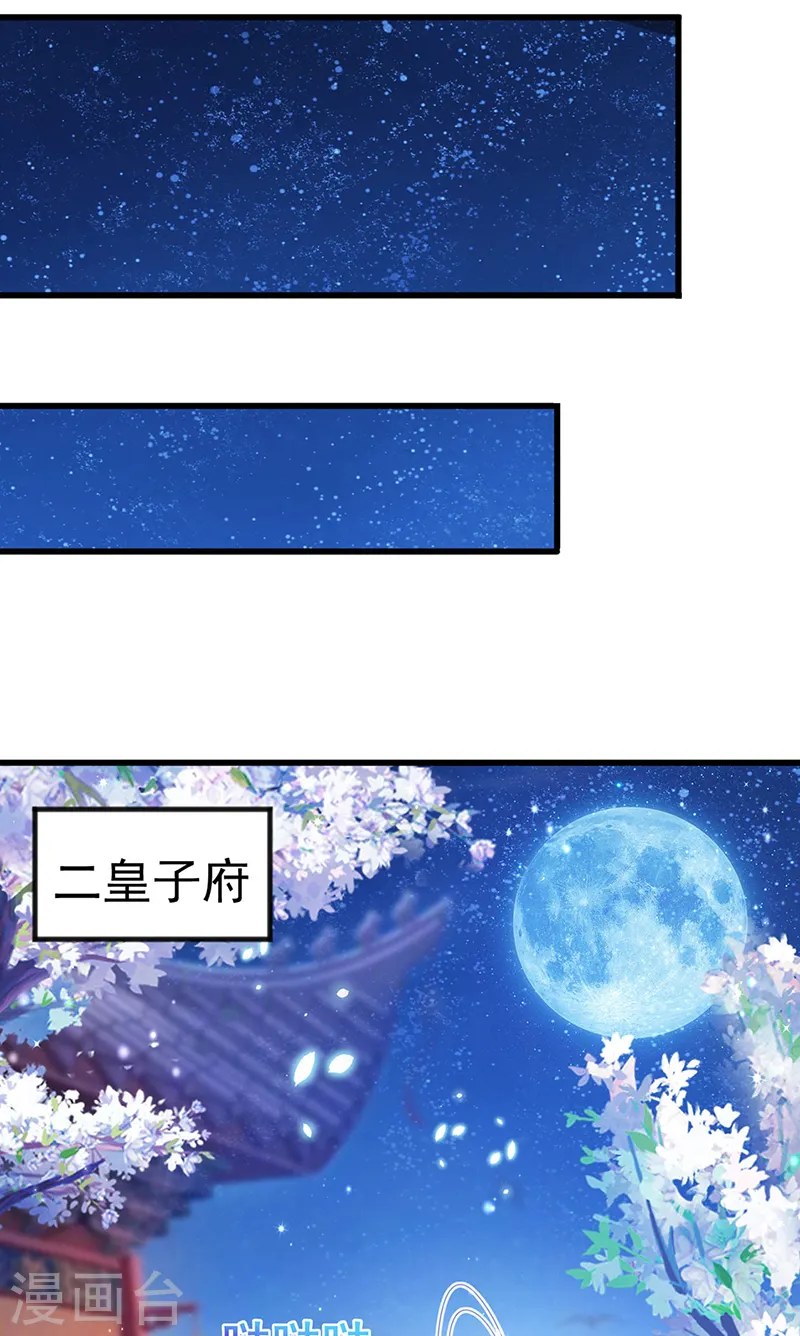 第28话 夜闯皇子府15