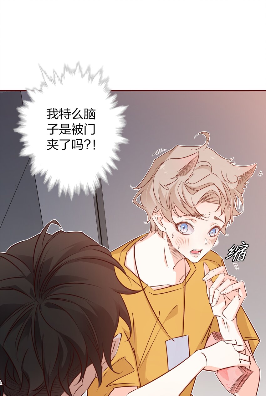 008 心动的声音1