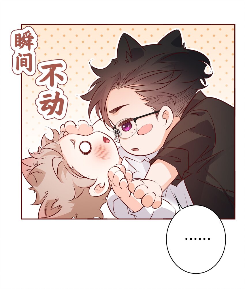 016 别动！6
