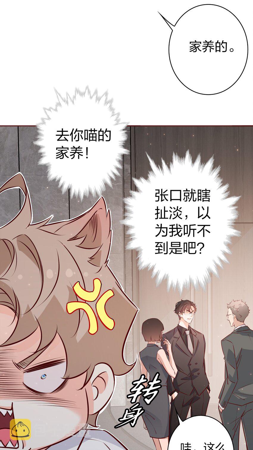 013 小夏夏，你是真的憨啊~14
