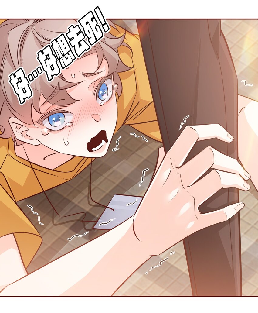 005 薛定谔的直男25