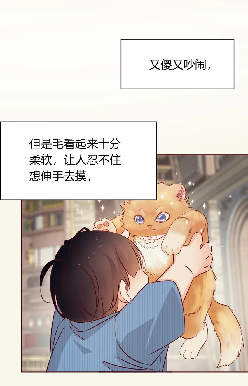 番外2 ——喜欢！！！14