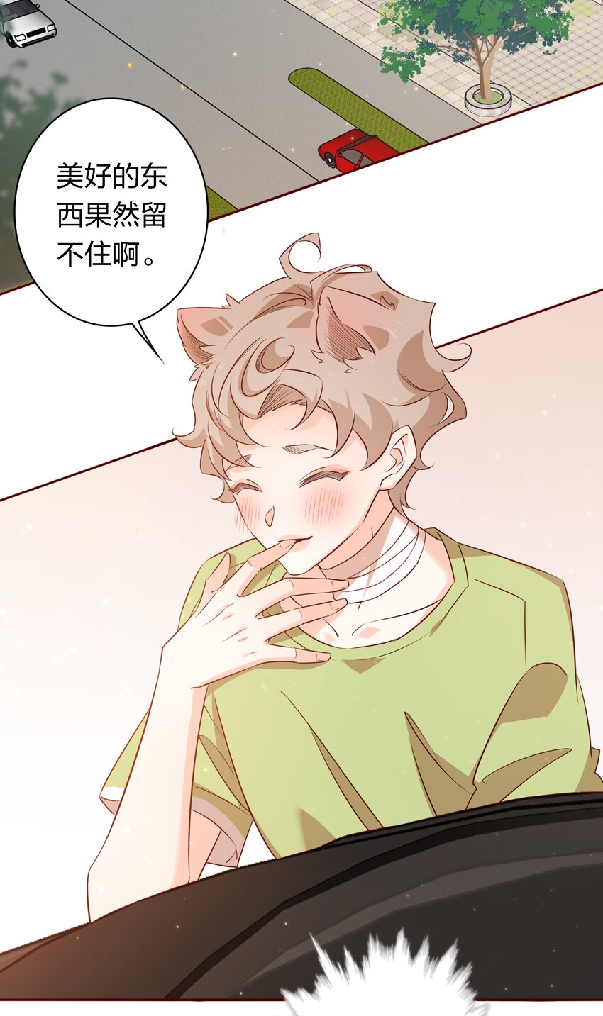 019 甜的14