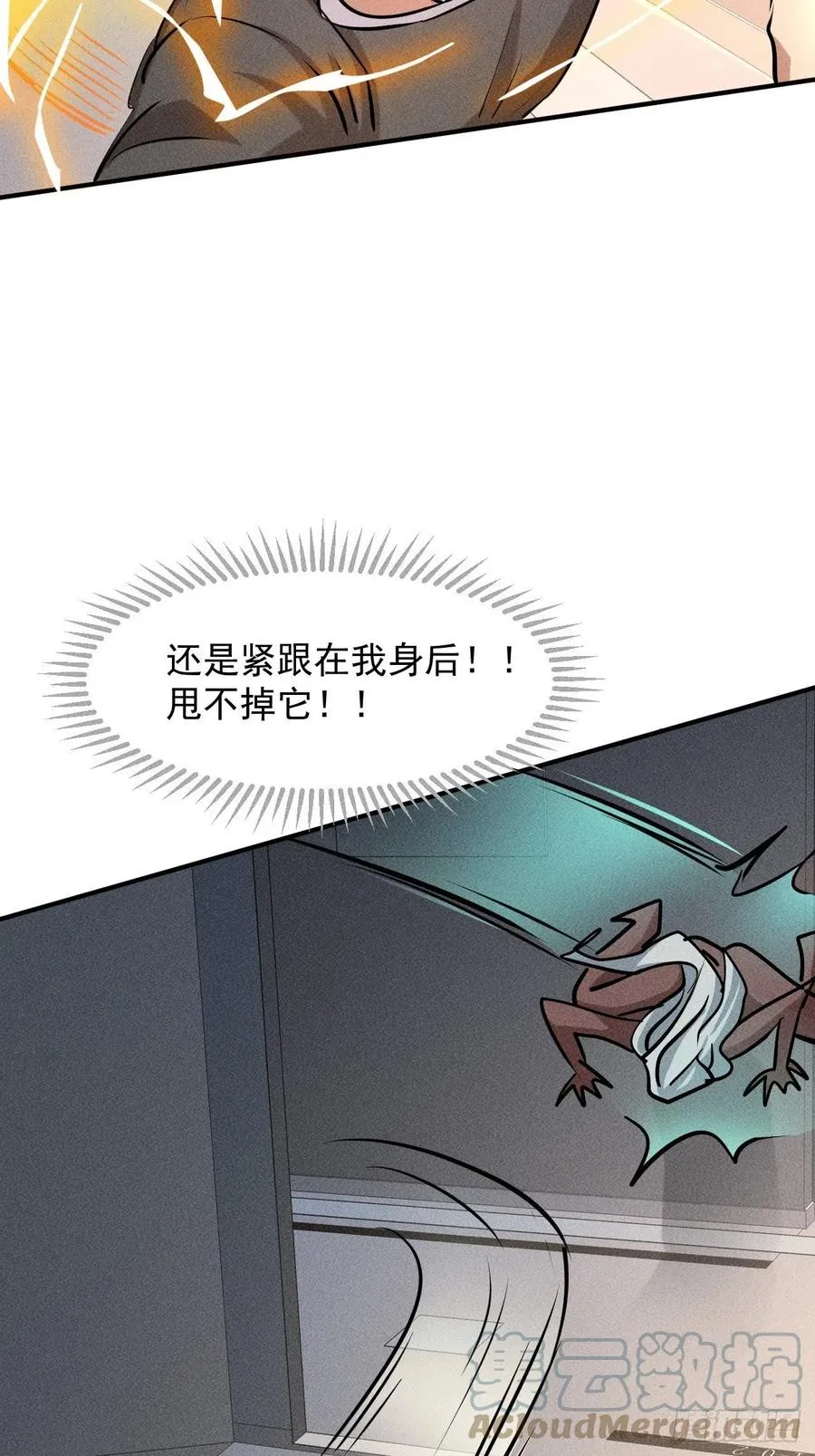 11 孤注一掷18