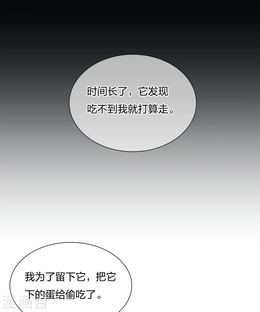 第22话 回忆29