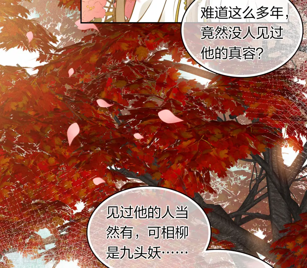 第163话 庇佑3