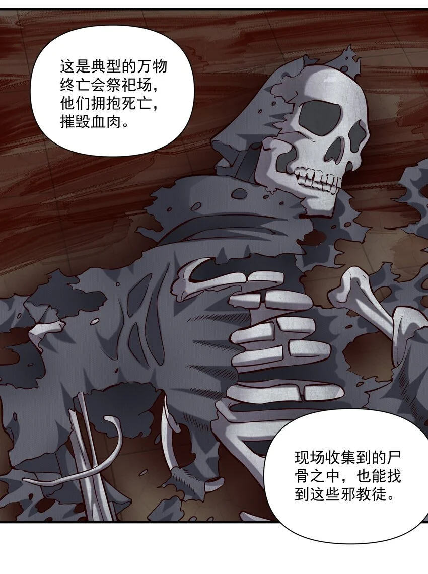 146 蛋壳盾19