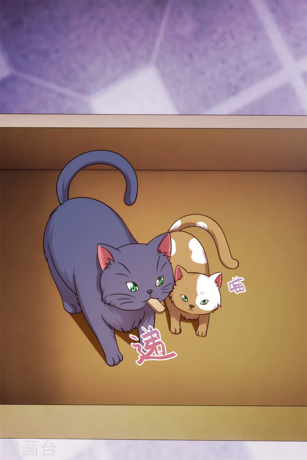 第264话 把他生下来！16