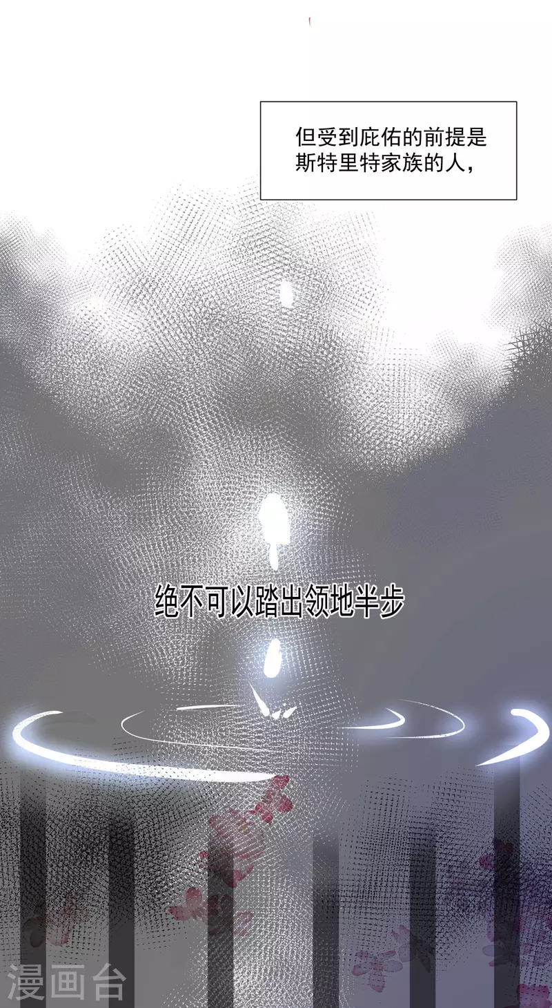 第26话 金色的斯特里特31