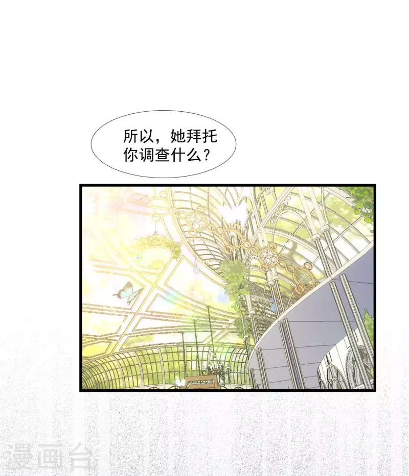 第26话 金色的斯特里特2