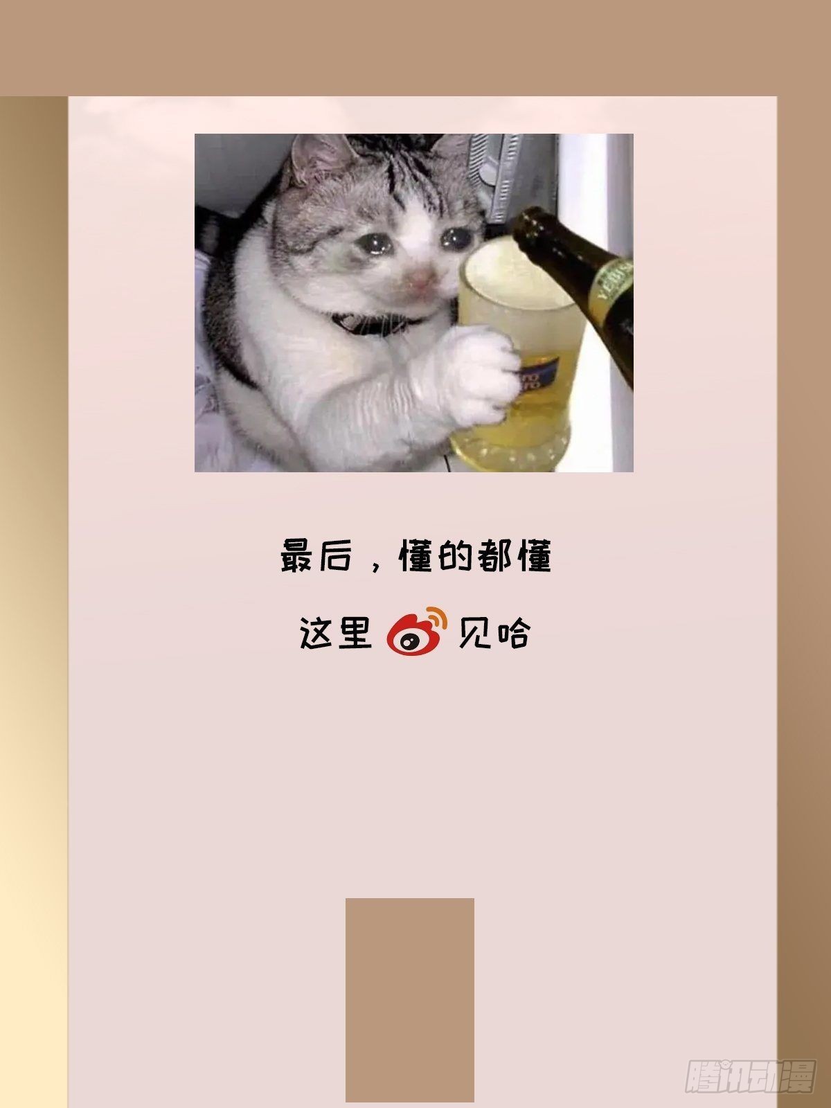 chapter · 06138