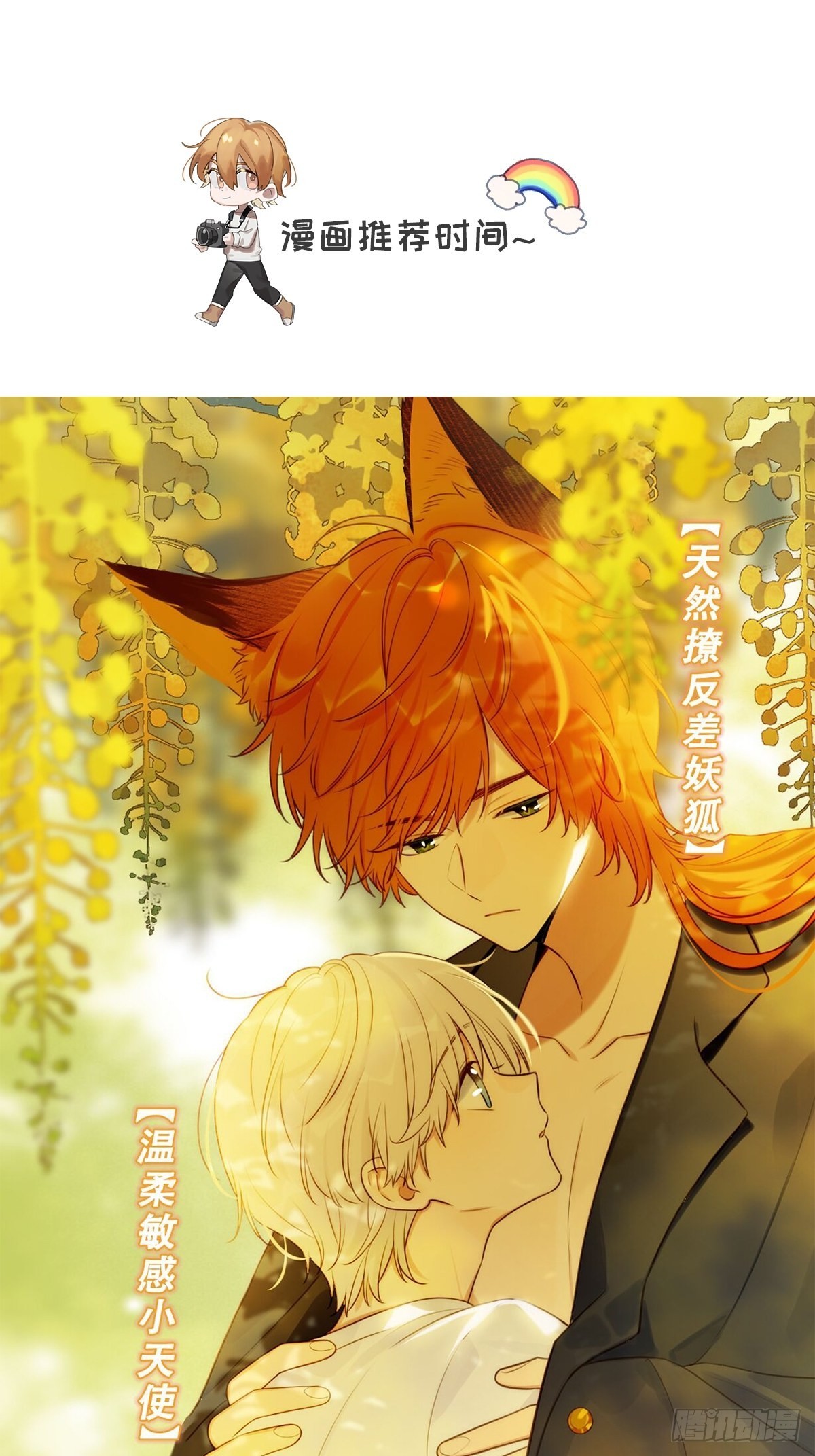 chapter · 05245