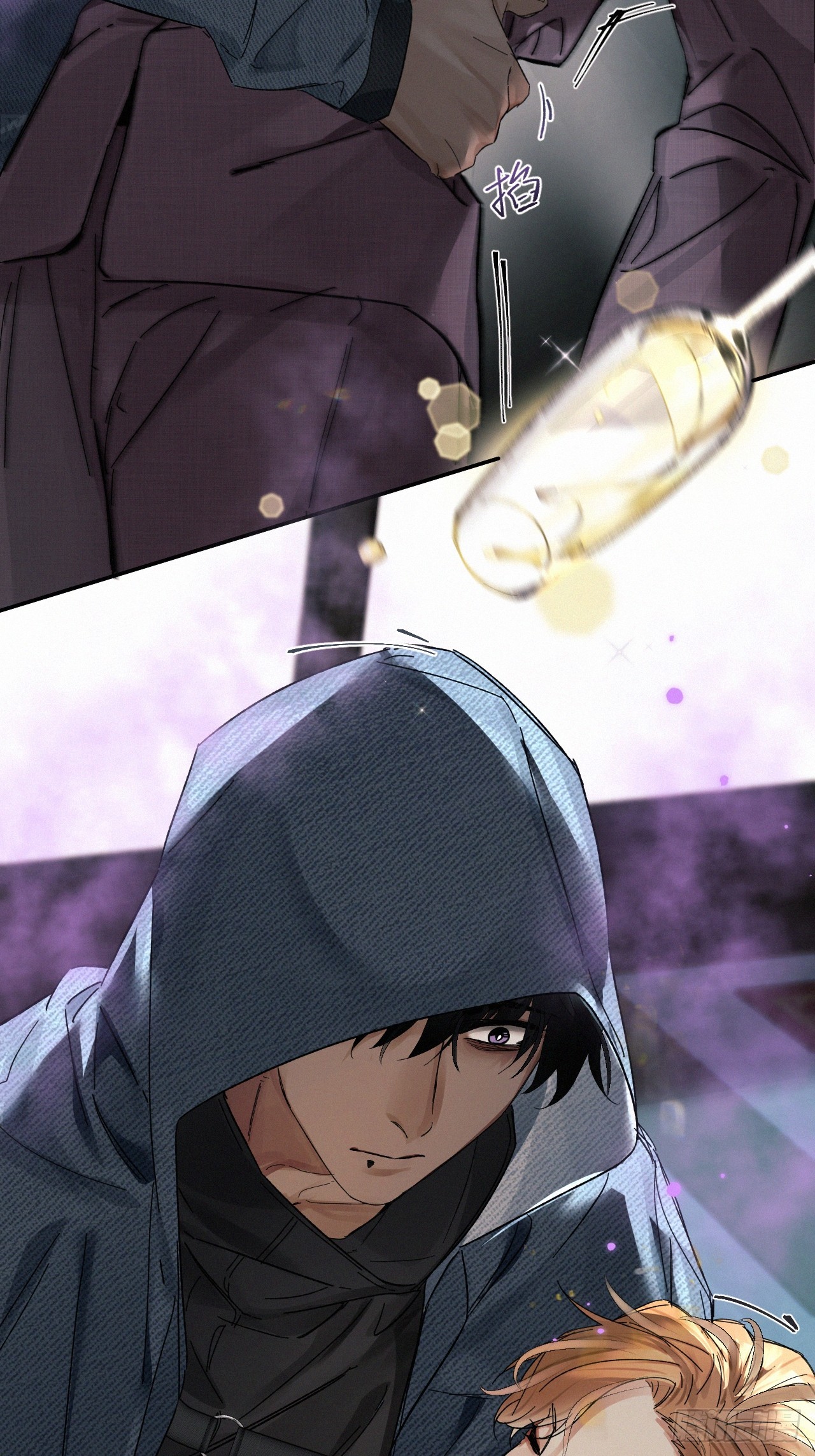 chapter · 06431