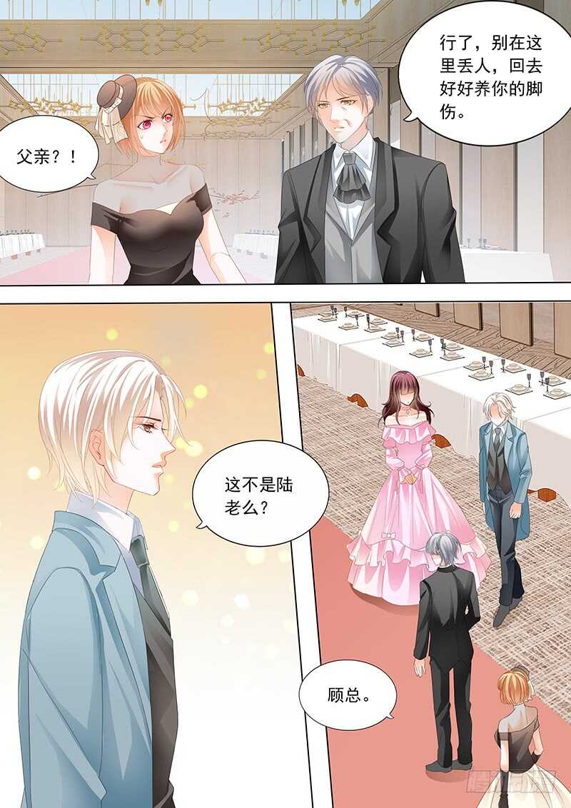 脚尖上的舞蹈11
