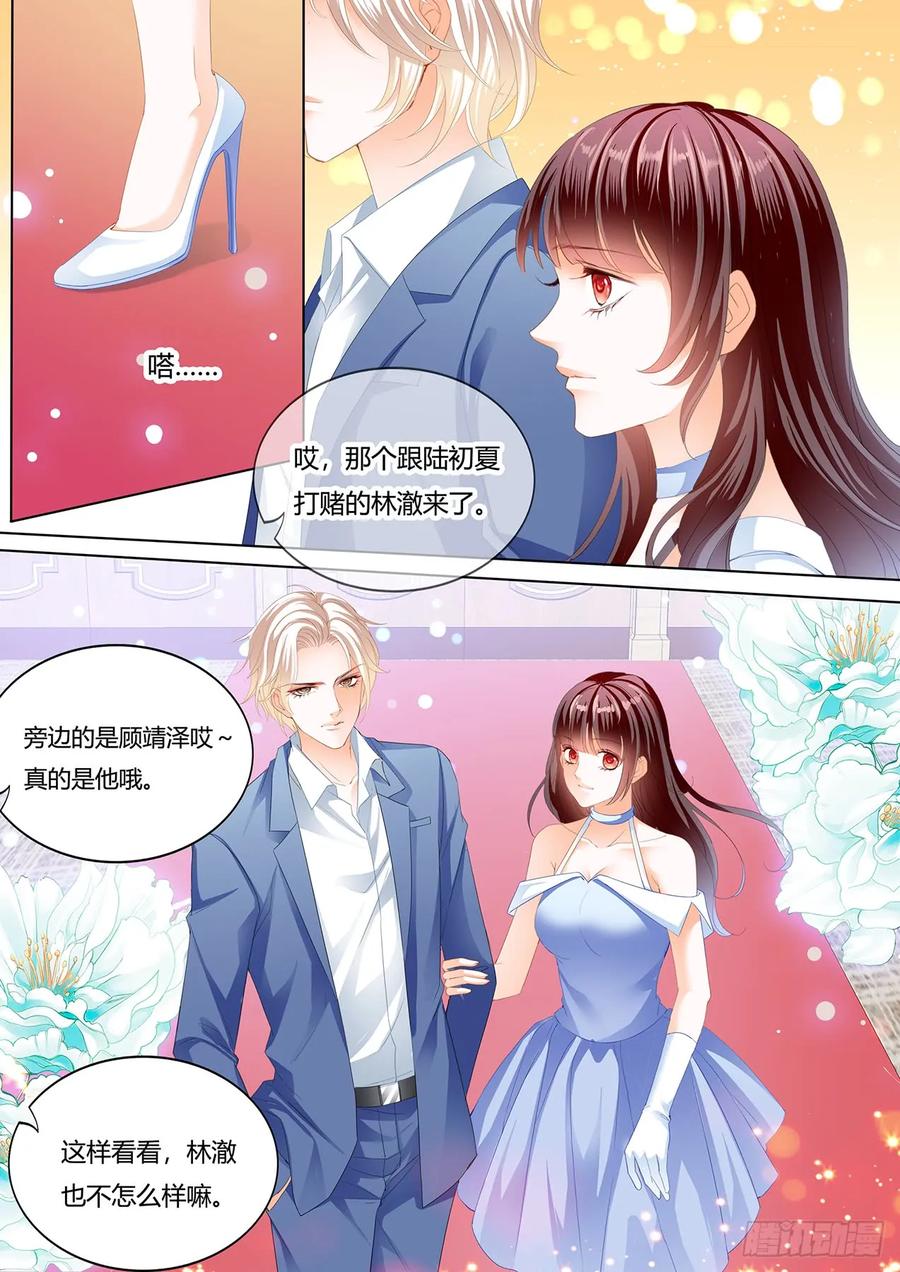 林澈的身世3