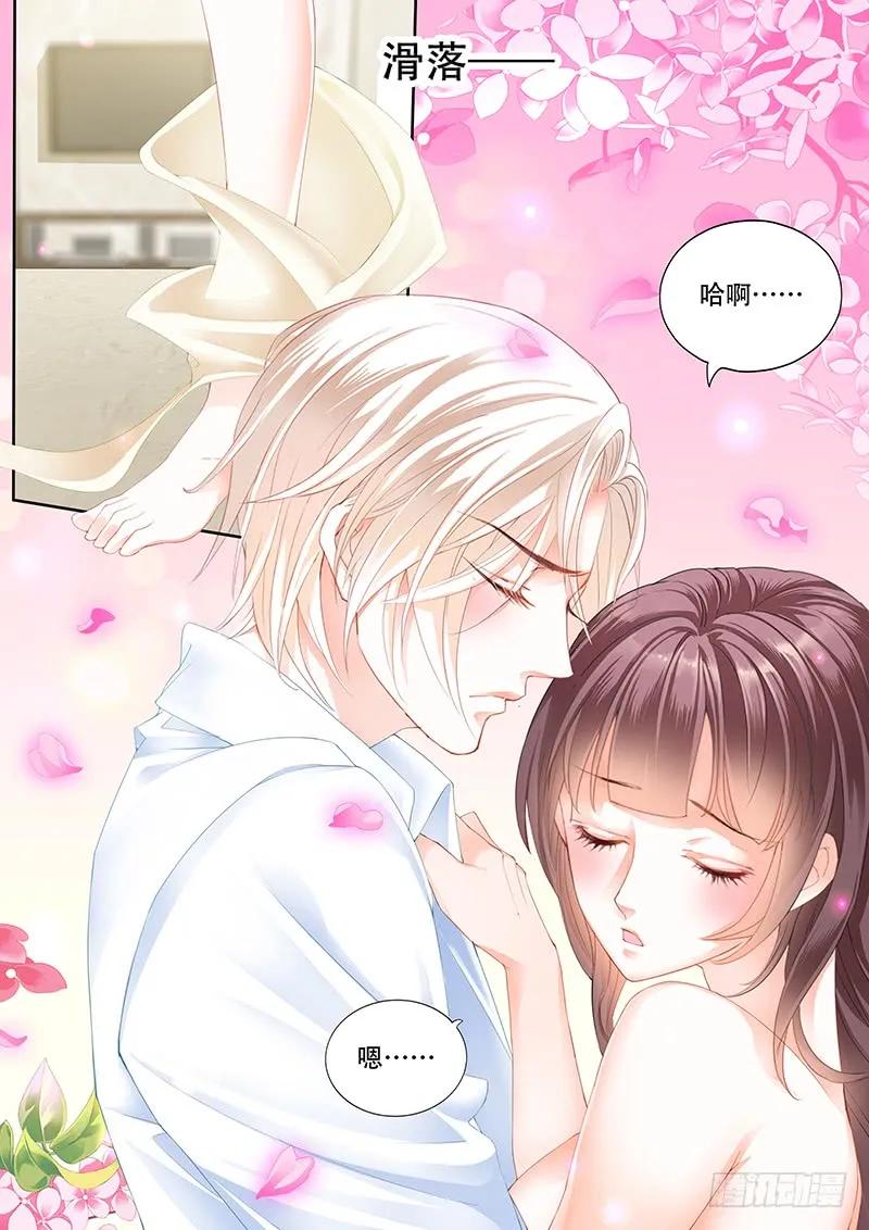 你是要当顾家的女主人的人2