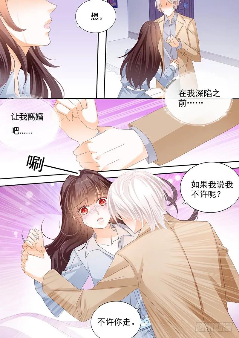 我不会和你离婚11