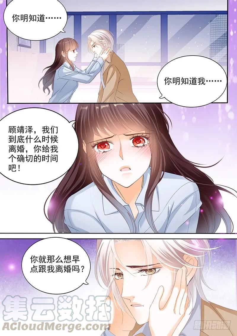 我不会和你离婚10