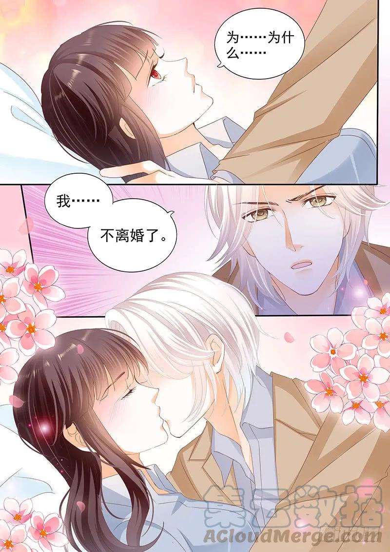 我不会和你离婚12