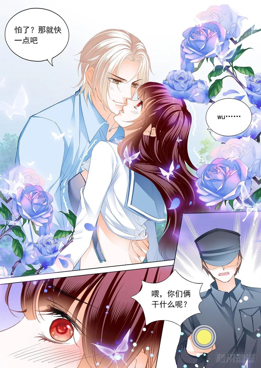 野外的……13