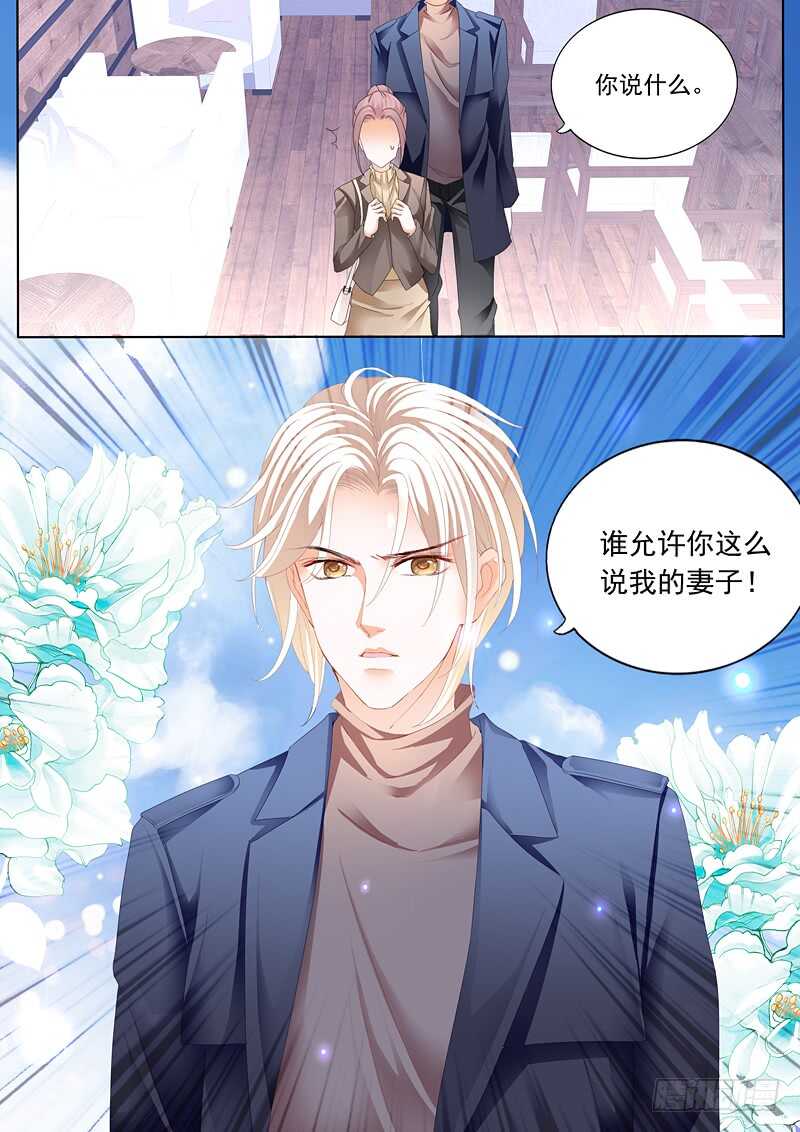 谁也不准欺负我的妻子12