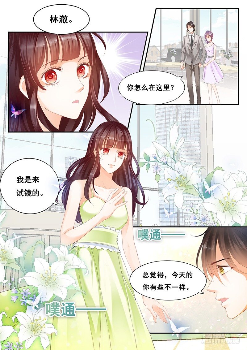 太太在争取参演角色3