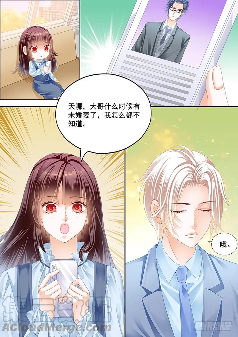 总统要结婚8