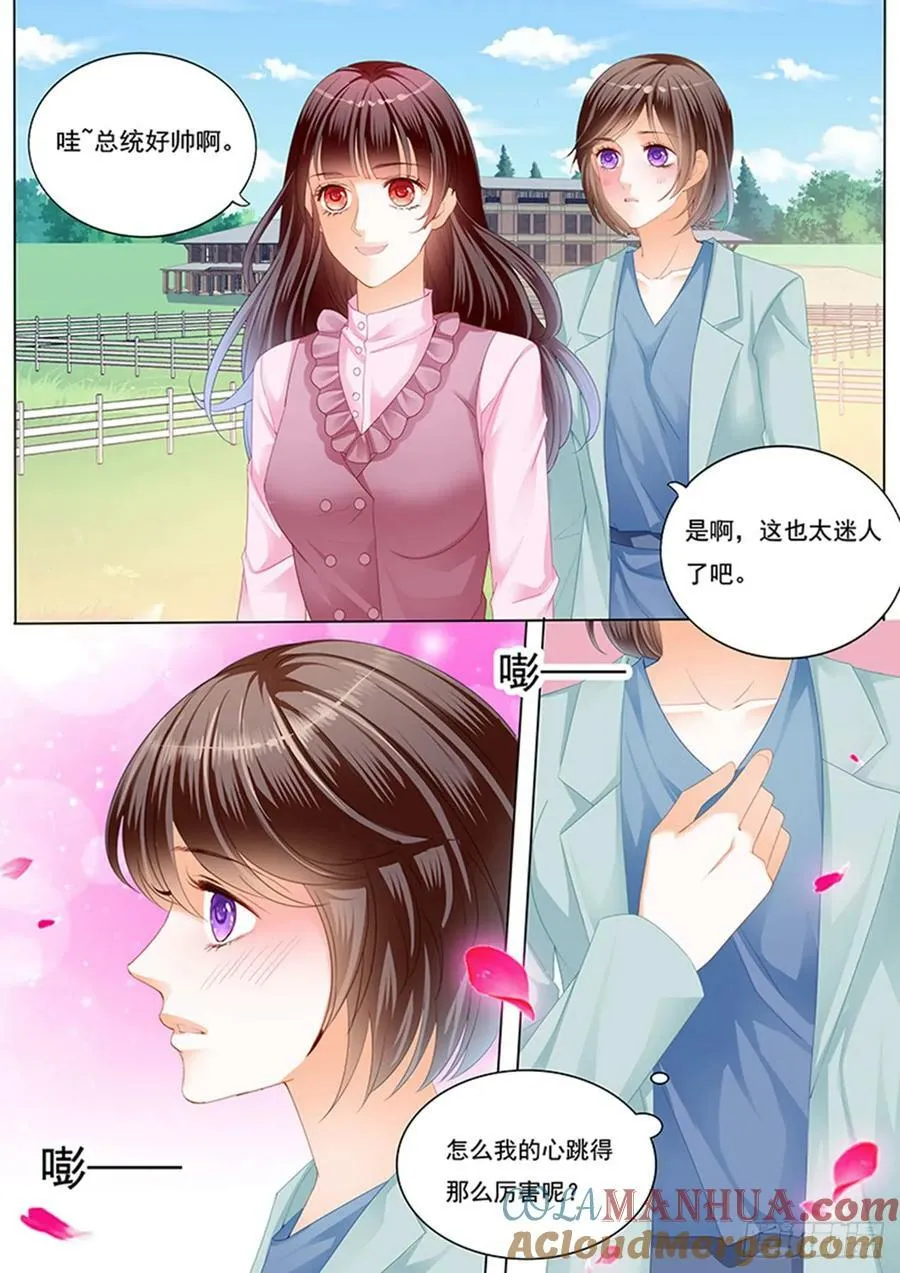 快乐骑马8