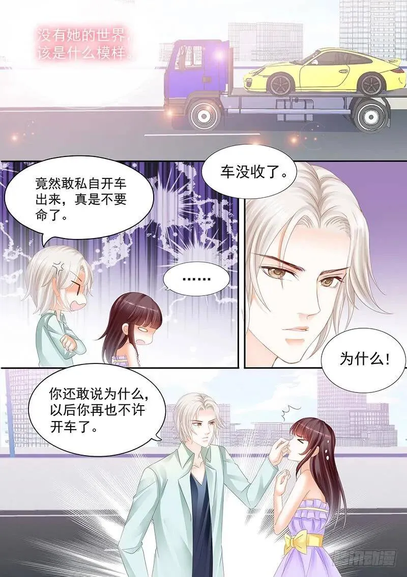 以后再也不许开车了11