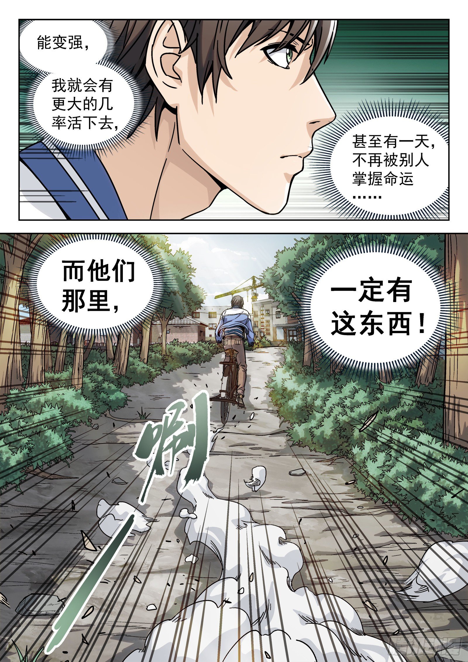 006：“瘟鸡飞”4