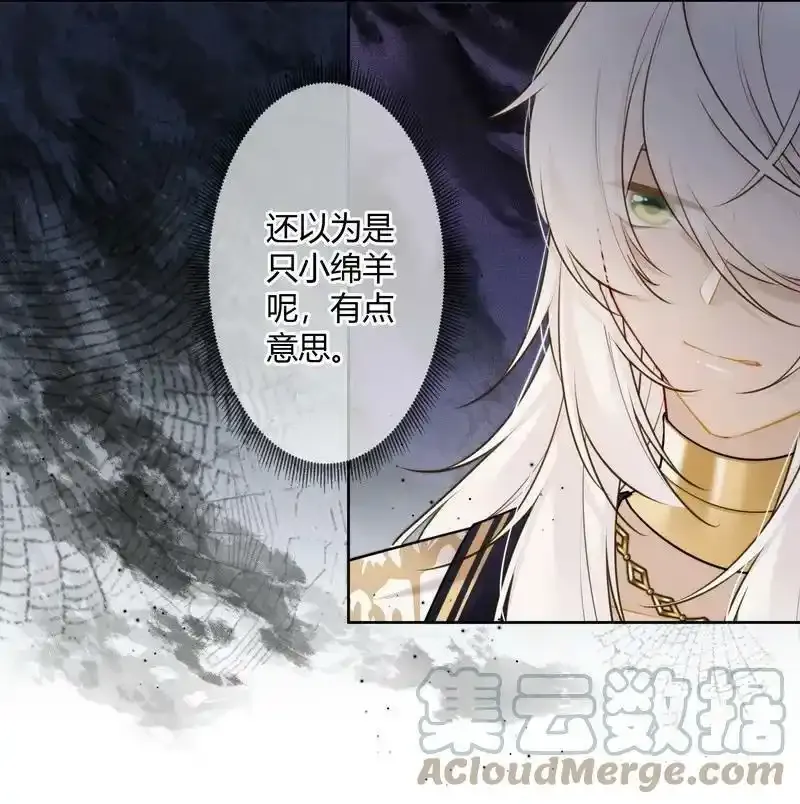 062 以为是只小绵羊24