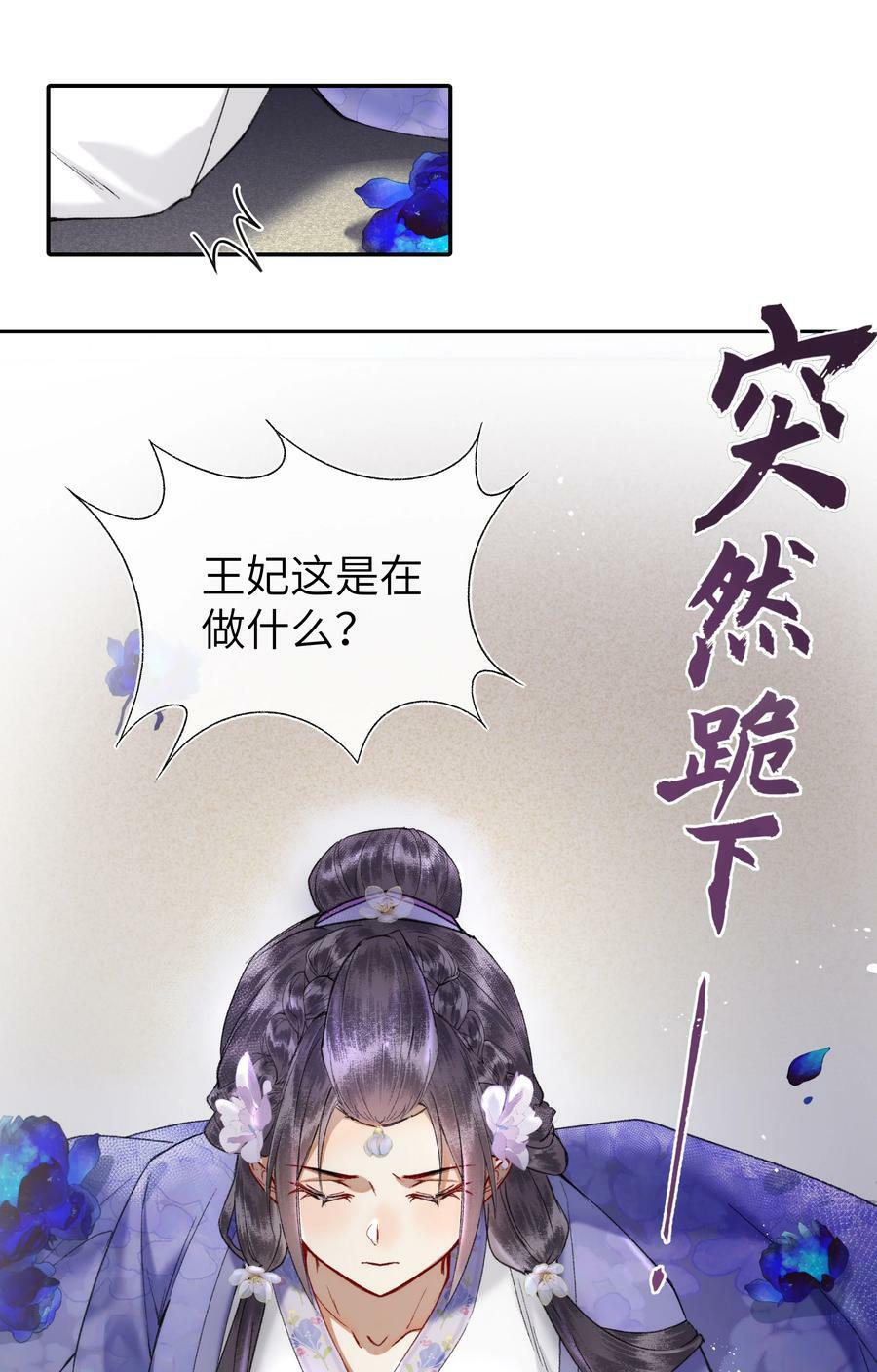 068 王妃珍藏的秘密1