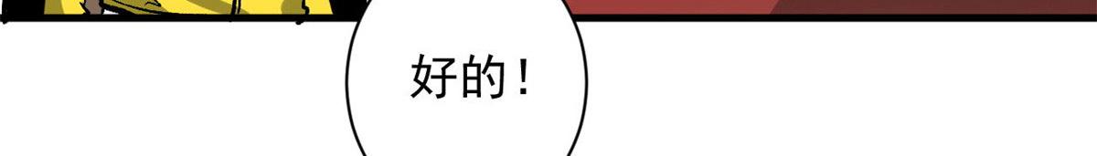 81 猪群69