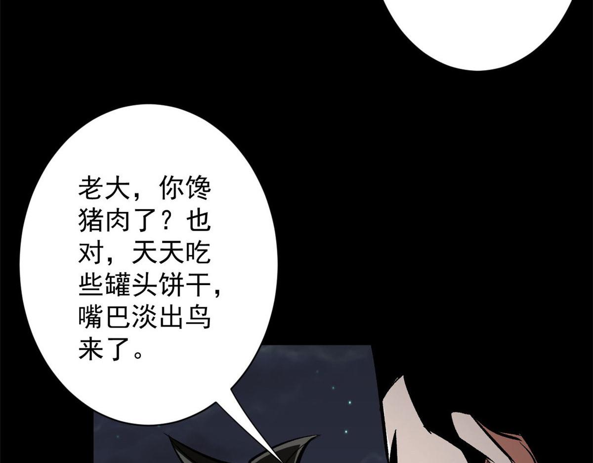 81 猪群101