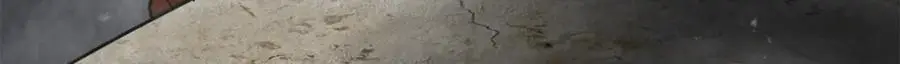 207 联合？81