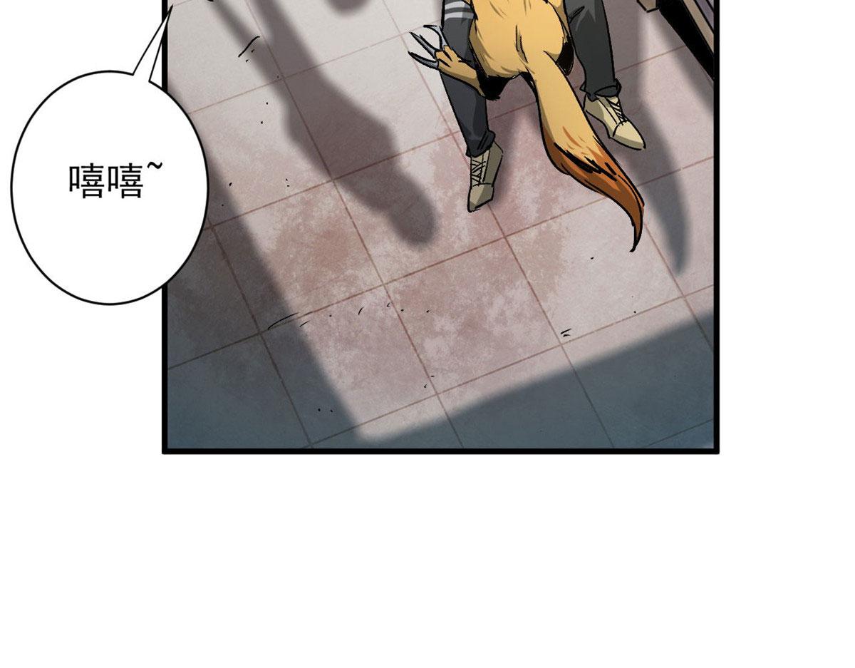 86 二阶进化34