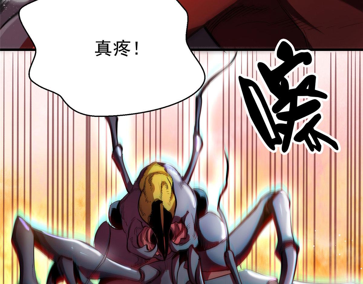 06 战虫王48