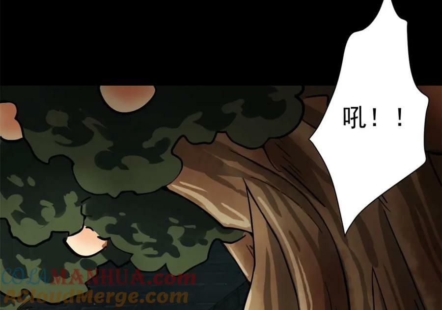 149 虚伪鬼树92