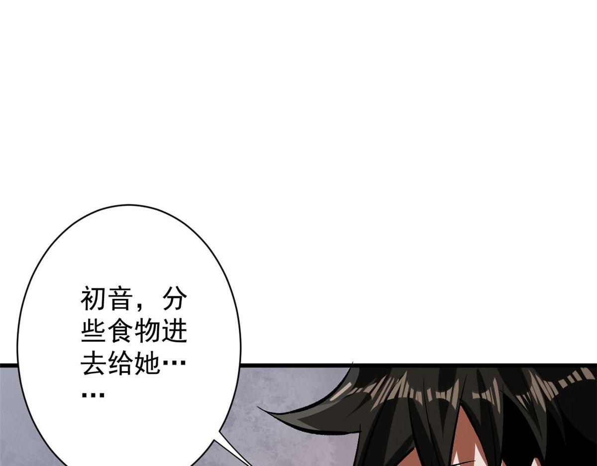 81 猪群67